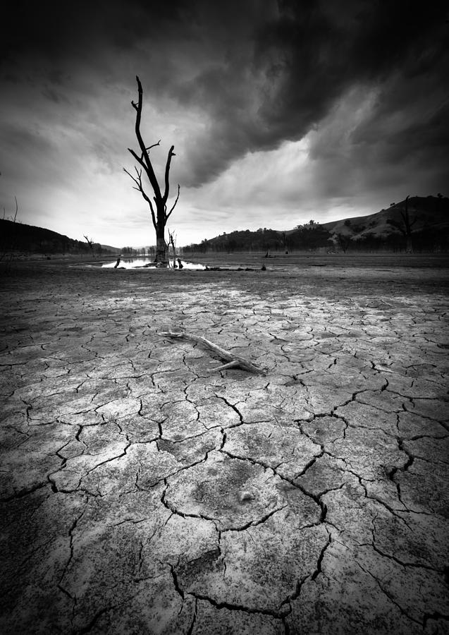 Dry River Photograph by Allan Li Wp - Fine Art America