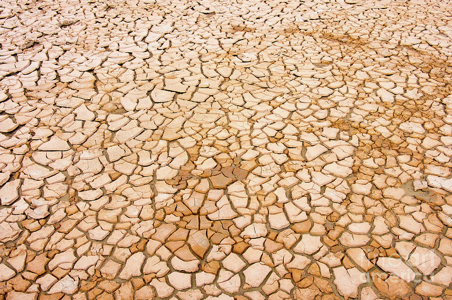 Dry Soil Photograph by Wladimir Bulgar/science Photo Library
