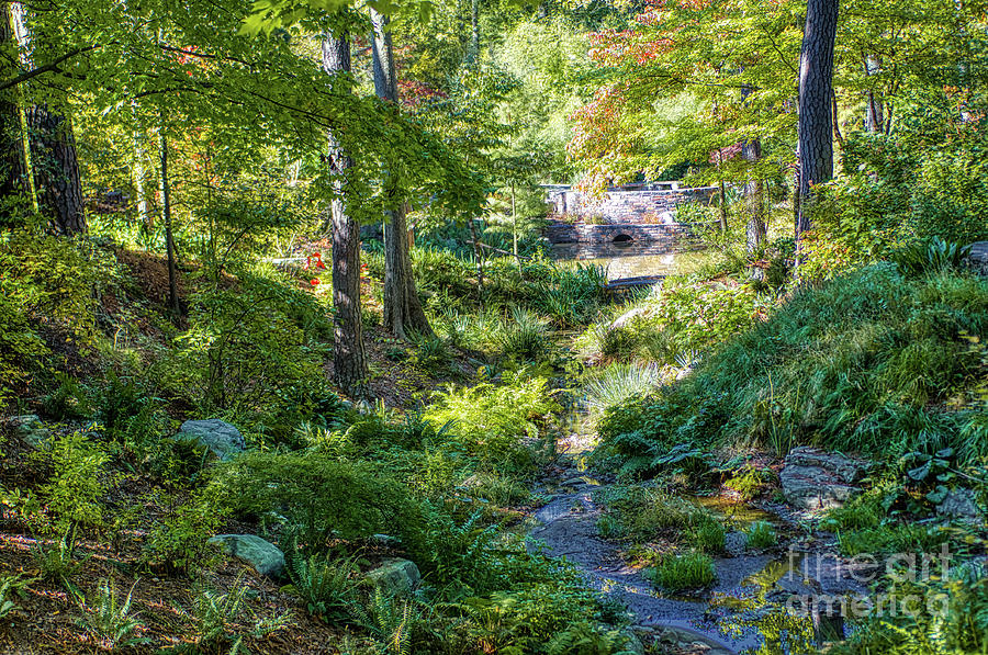 Dry Stream by James Foshee Dry Stream by James Foshee