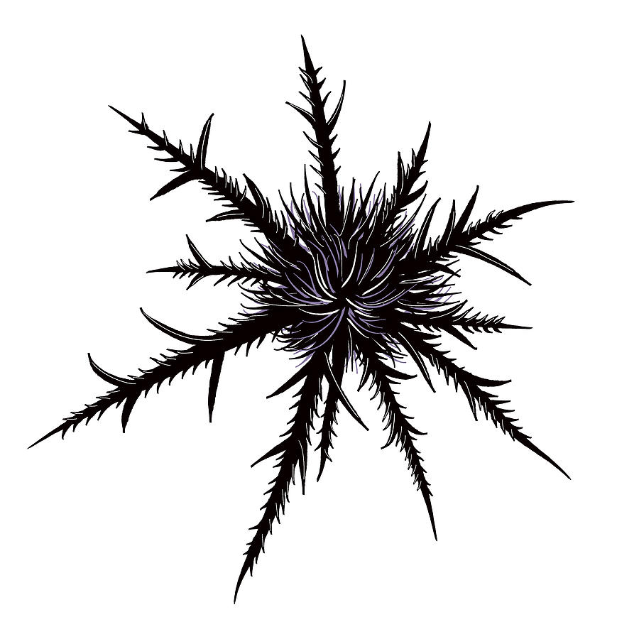 Dry Thistle Sharp Thorns Gothic Botanical Art Digital Art by Boriana Giormova