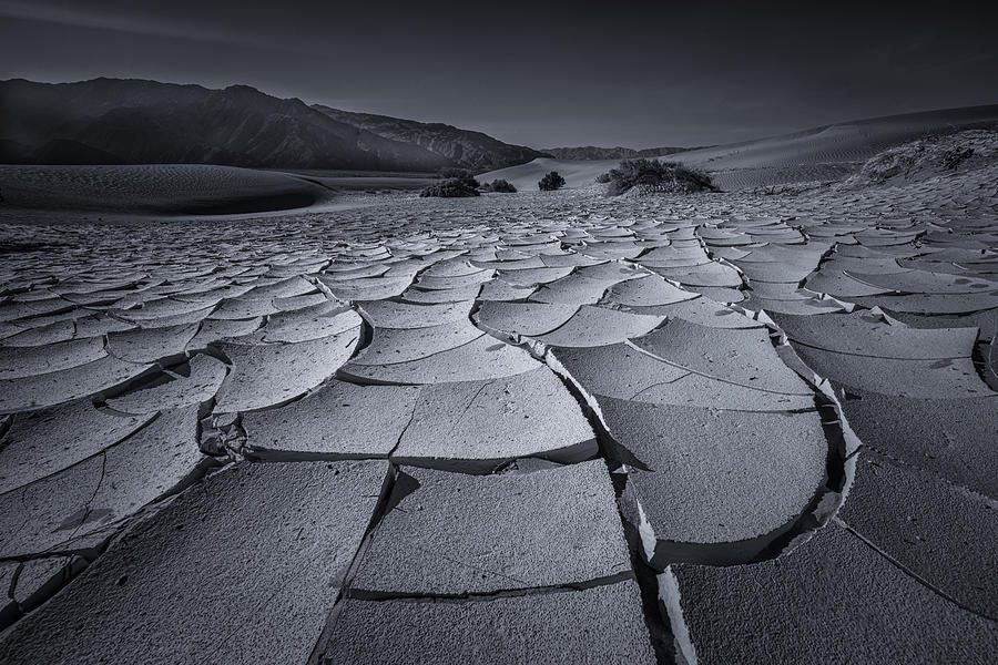 Desert Photograph - Drying Desert California by Joy Pingwei Pan