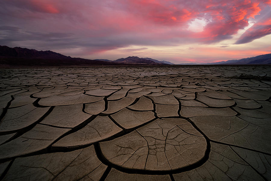 Dryland Twilight Photograph by Lydia Jacobs - Fine Art America