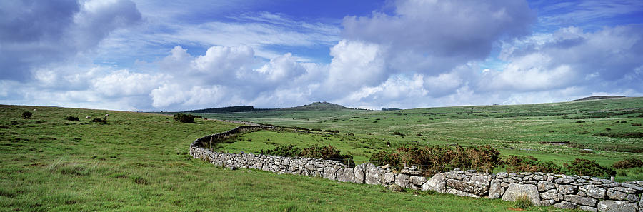 Drystone Wall At Bellever Tor Photograph by Panoramic Images