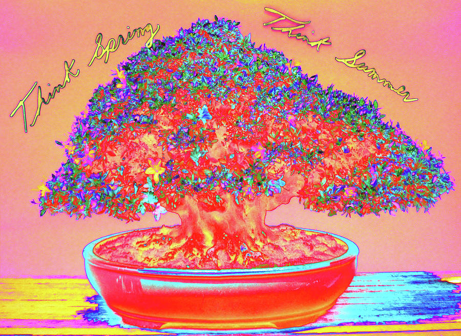 Text Digital Art - _dsc0160 (4) by Tom Kelly Text Digital Art - _dsc0160 (4) by Tom Kelly