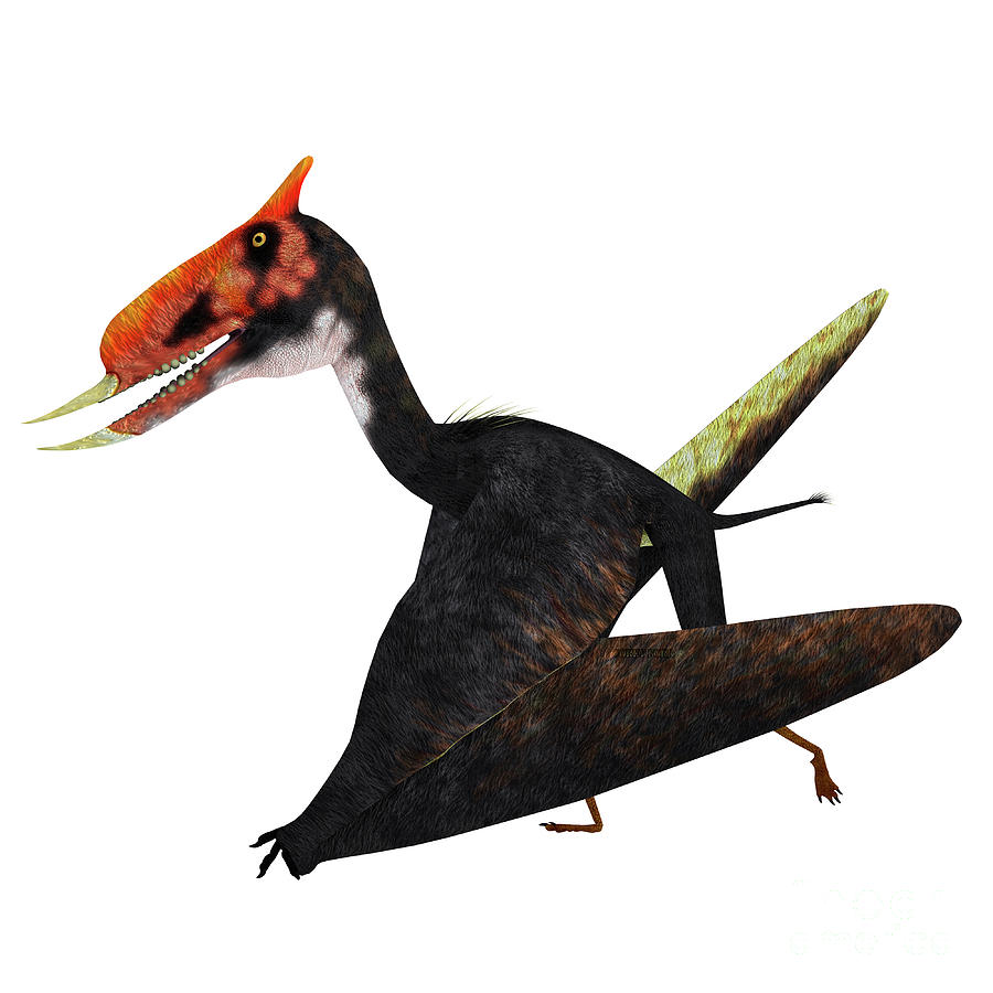 Dsungaripterus Pterosaur Walking Digital Art by Corey Ford