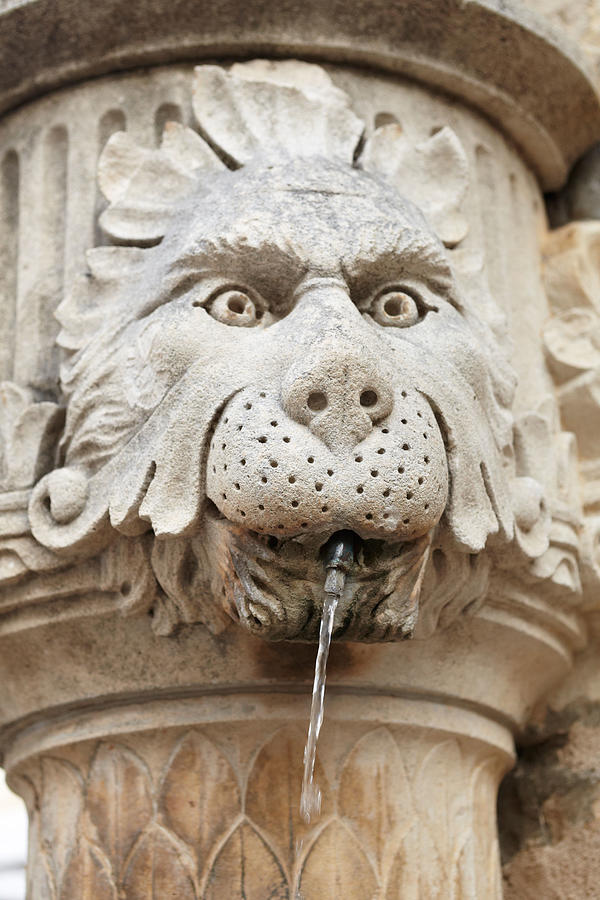 City Photograph - Dubrovnik - Carved Detail Of Fountain by Jan Wlodarczyk