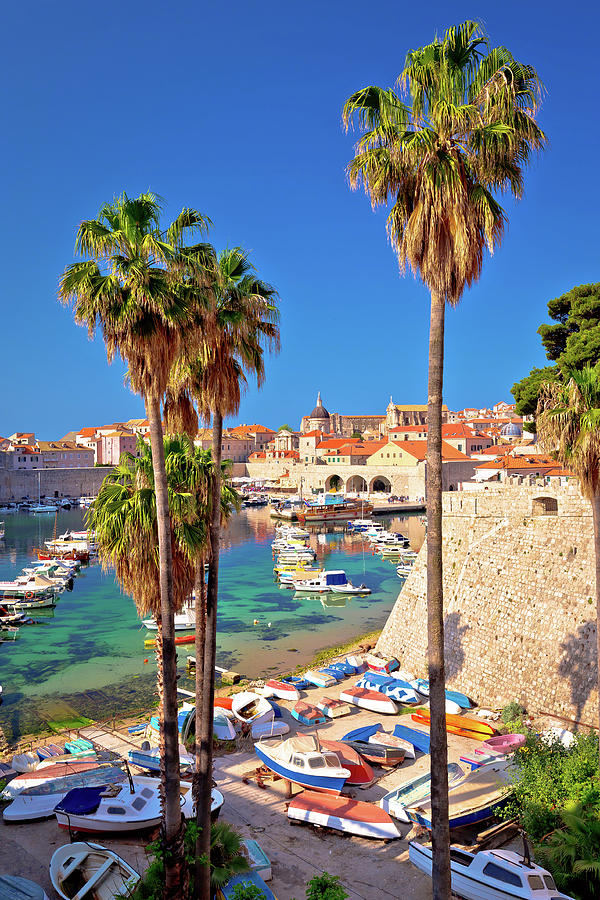 Dubrovnik old town harbor vertical view Photograph by Brch Photography