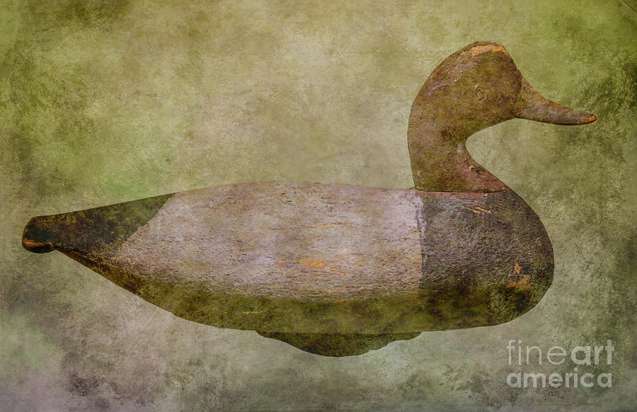 Duck Decoys Number Five Digital Art