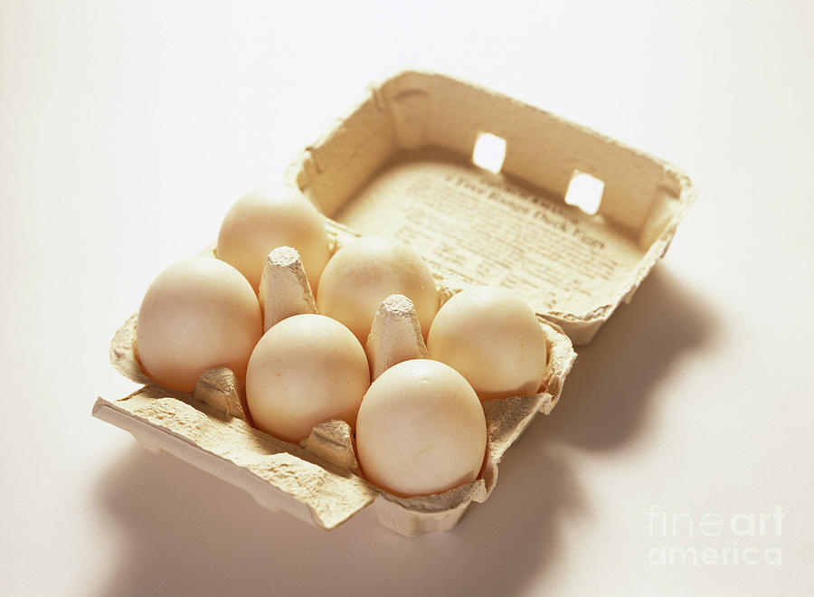 Duck Eggs Photograph by Cordelia Molloy/science Photo Library