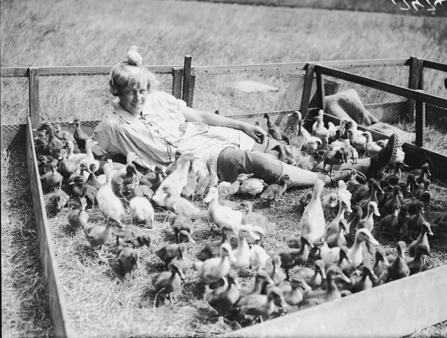 Duck Farm Photograph by Fox Photos