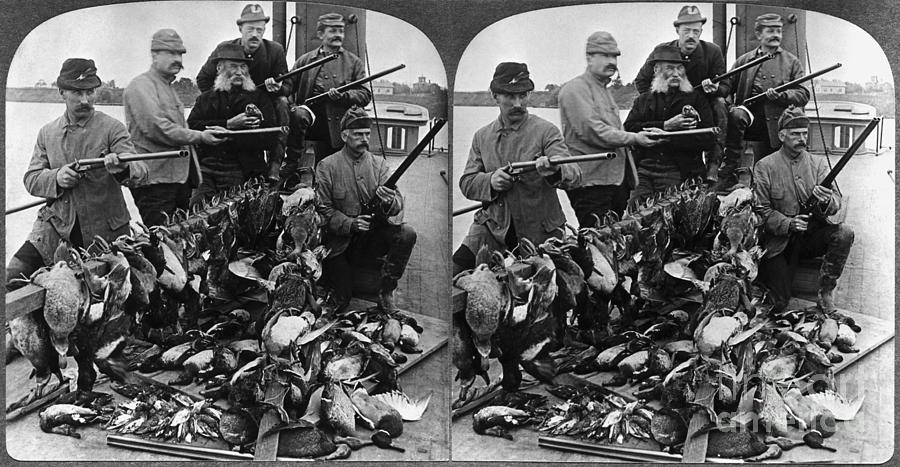 Duck Hunters With A Large Catch Photograph by Bettmann