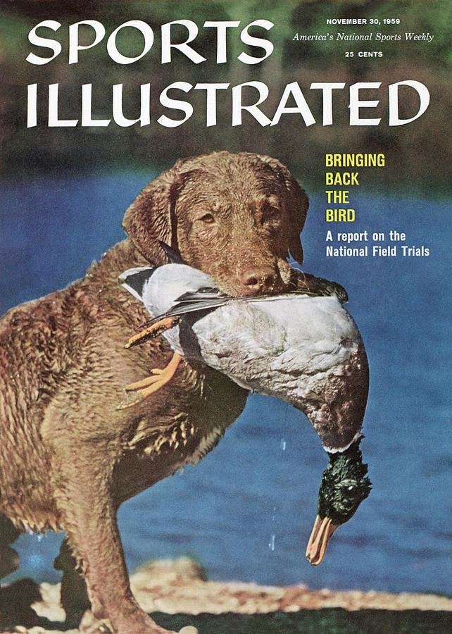 Duck Hunting Sports Illustrated Cover Photograph by Sports Illustrated
