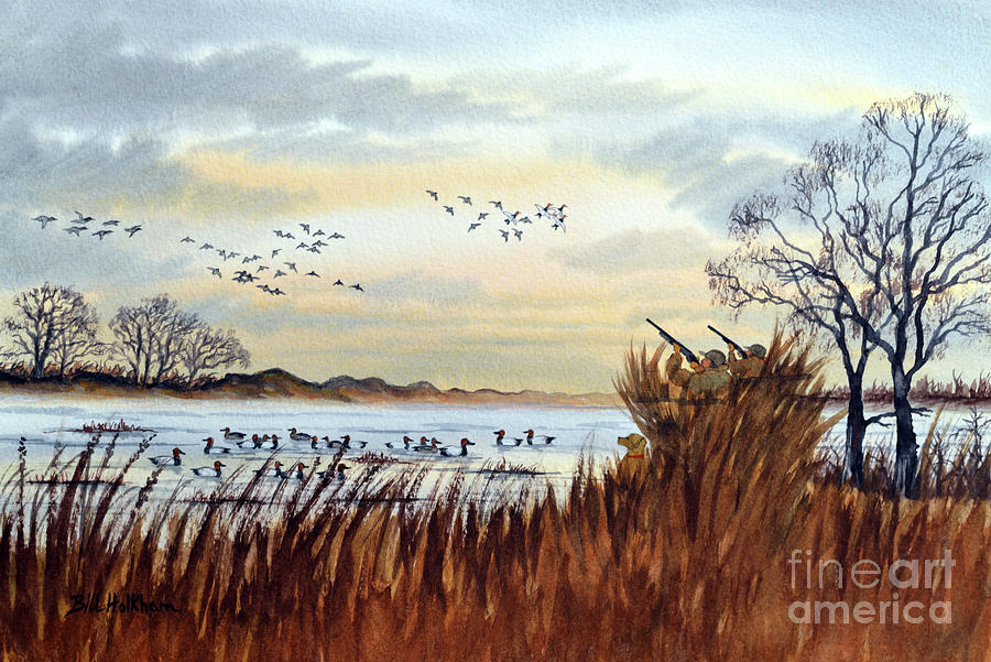 Duck Hunting Season Begins For Canvasback Painting by Bill Holkham