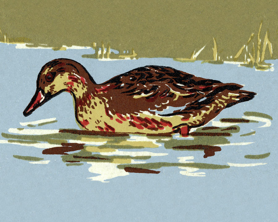 continuous single line drawing of duck water bird vector art illustration  27137152 Vector Art at Vecteezy