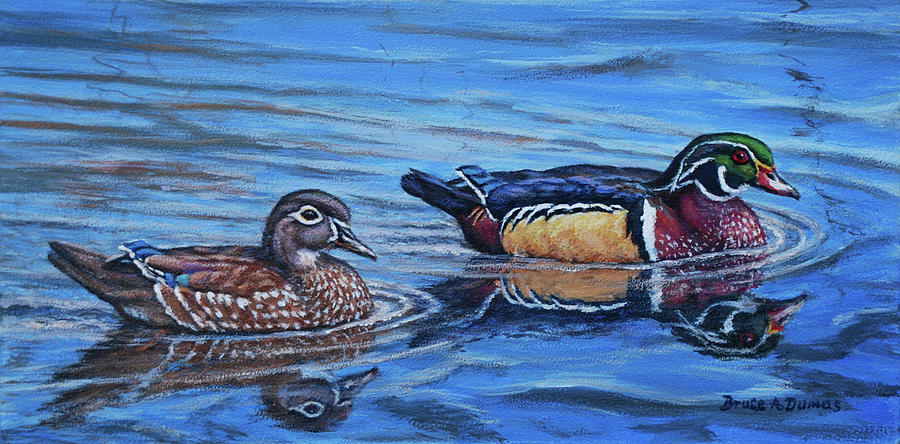 Duck Paddle II Painting by Bruce Dumas