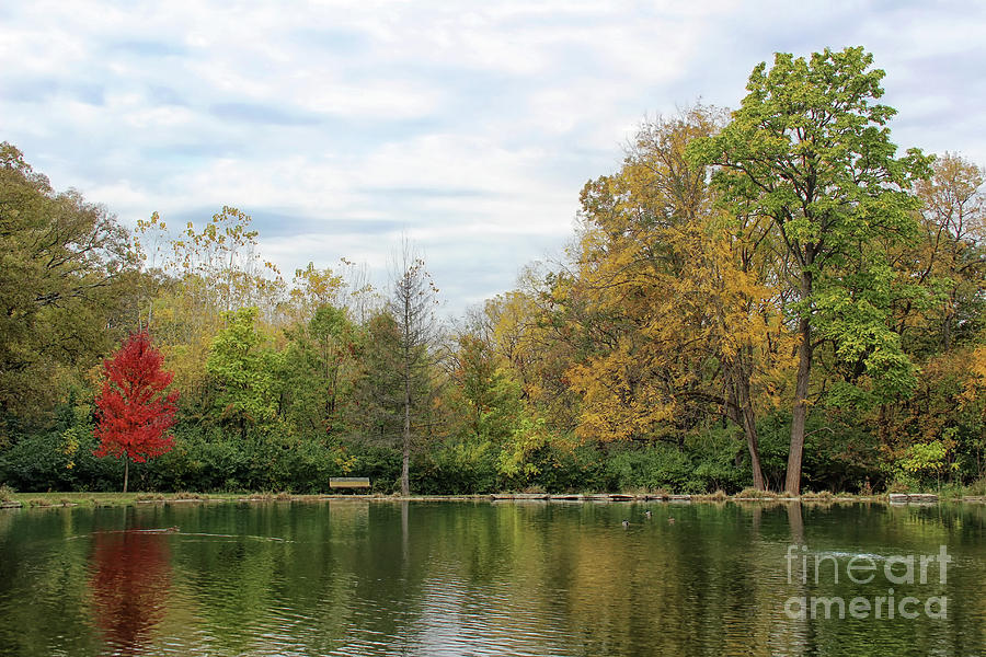 Peaceful Pond Photograph by Karen Adams