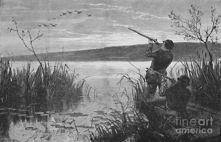 Duck-shooting On Saratoga Lake Drawing by Print Collector