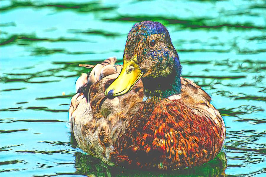 Duck Swimming in Lake Cool Paint Photograph by Don Northup