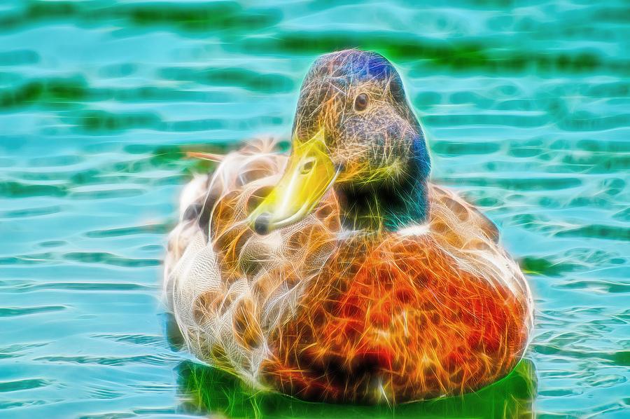 Duck Swimming in Lake Fibers Photograph by Don Northup