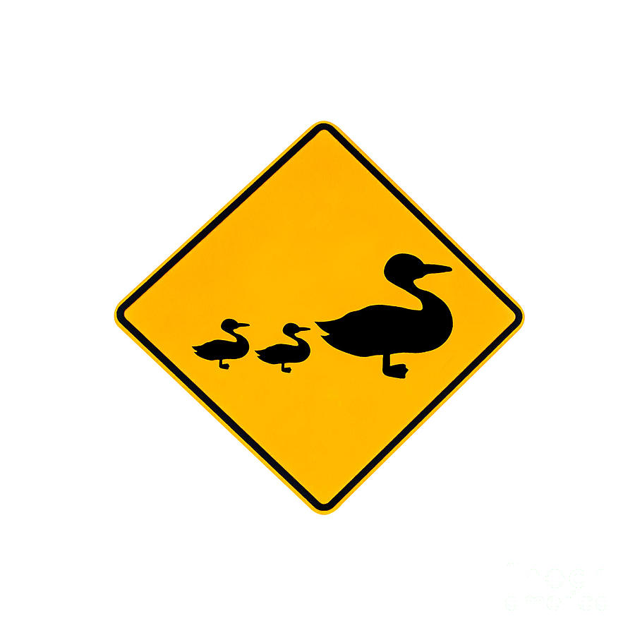 Duck Warning Sign Photograph by Benny Marty