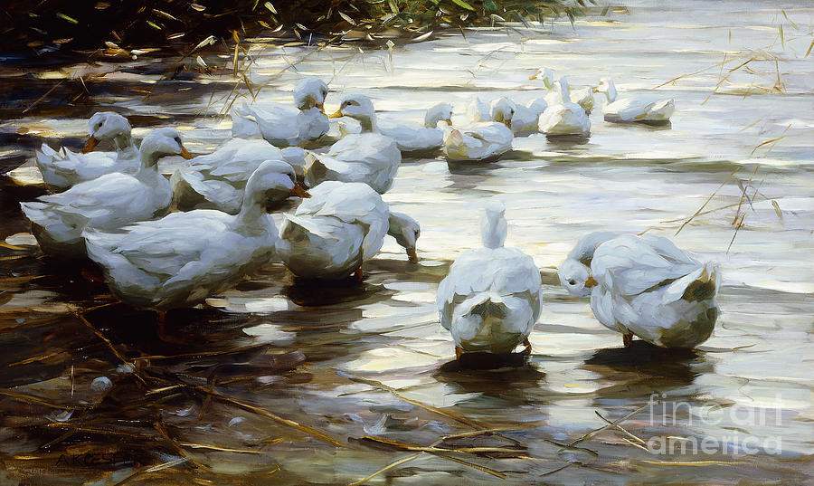 Ducks In Shallow Water Reed Enten In Flachem Schilfwasser Painting by ...