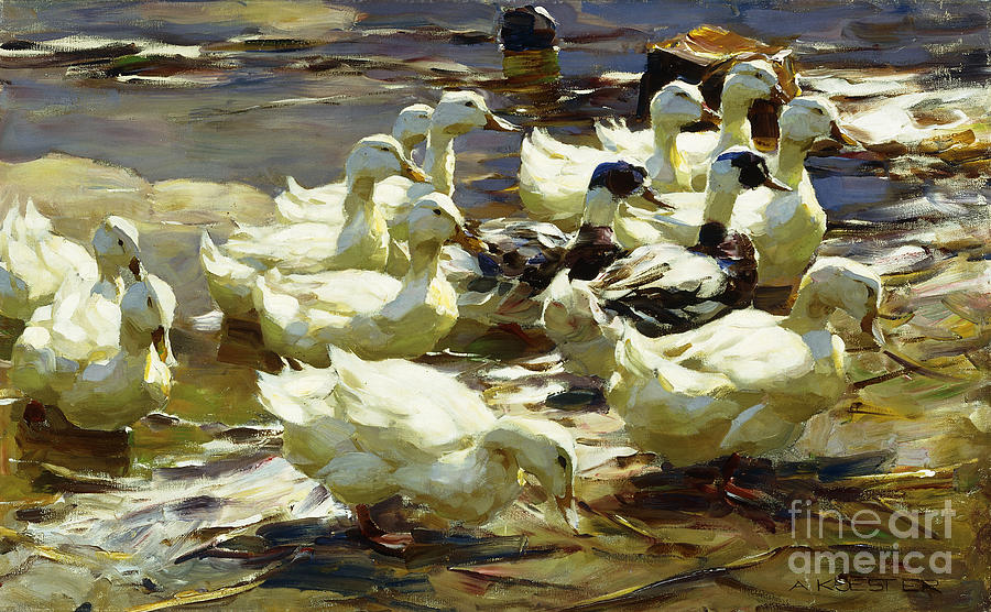 Ducks In The Pond Enten Im Teich Painting by Alexander Koester - Pixels