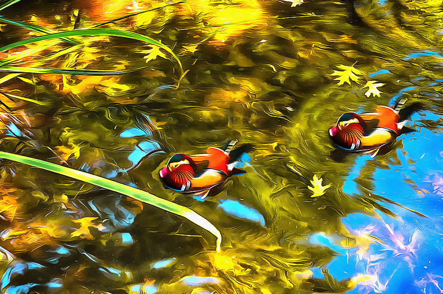 Central Park Digital Art - Ducks in the Pond by M Damien