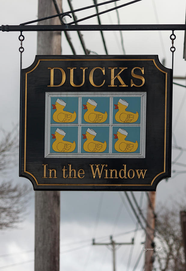 Ducks In The Window Photograph