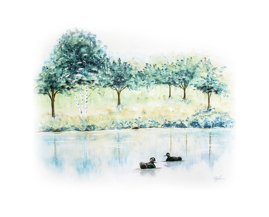 Ducks on Lake by Ann Lauwers Ducks on Lake by Ann Lauwers