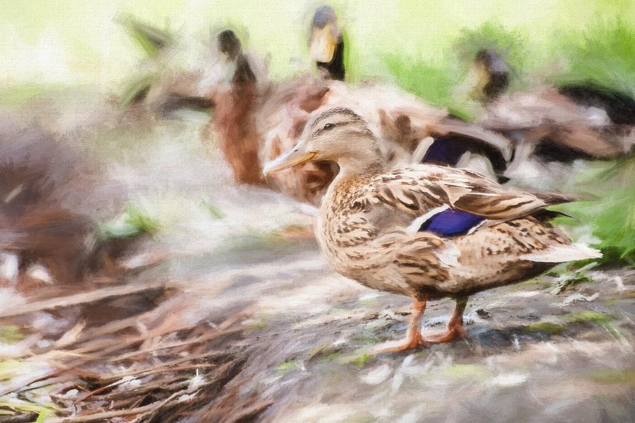 Ducks on Shore painting Photograph by Don Northup