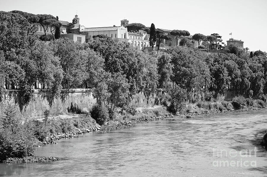 Ducks on the Bank of the Tiber River Rome Italy Black and White Photograph by Shawn OBrien