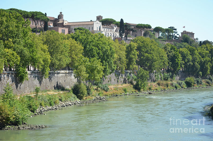 Ducks on the Bank of the Tiber River Rome Italy Photograph by Shawn OBrien
