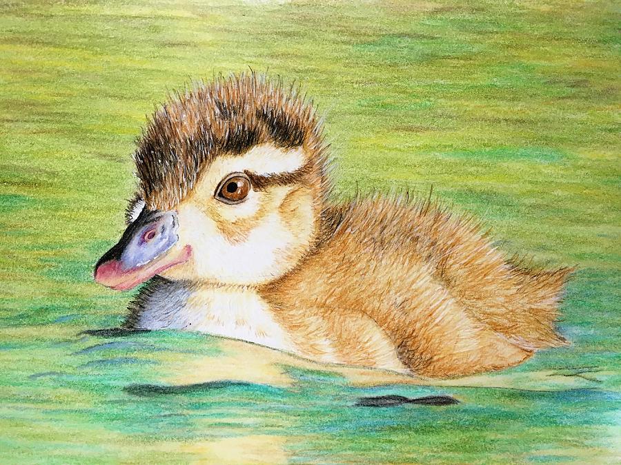 Ducky Drawing by Bethie Lynn | Fine Art America