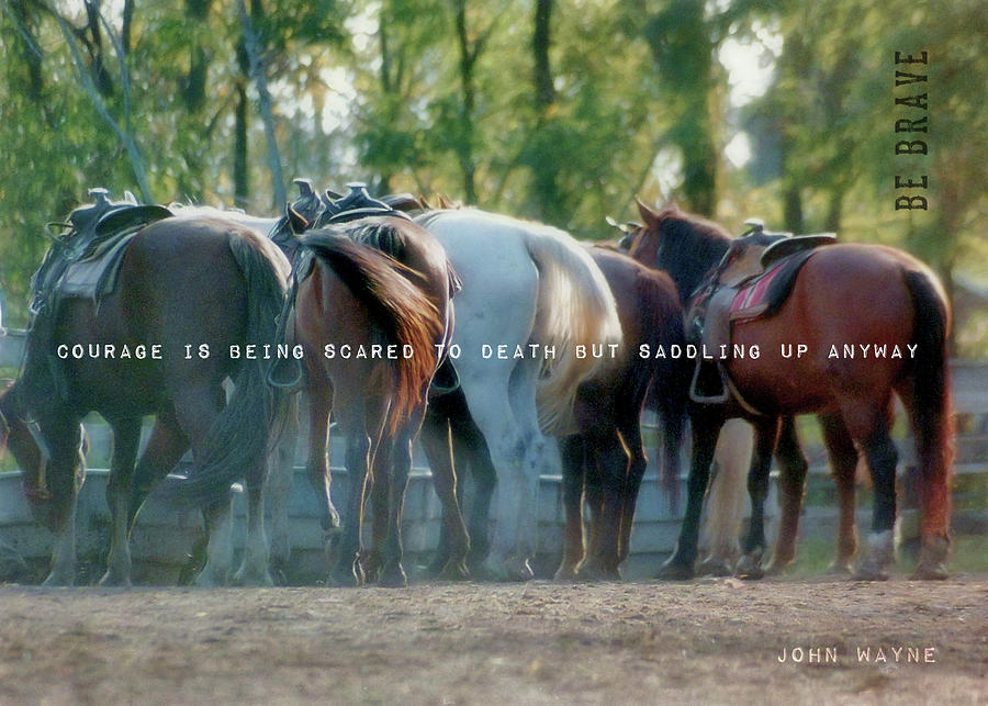 DUDE RANCH quote Photograph by JAMART Photography
