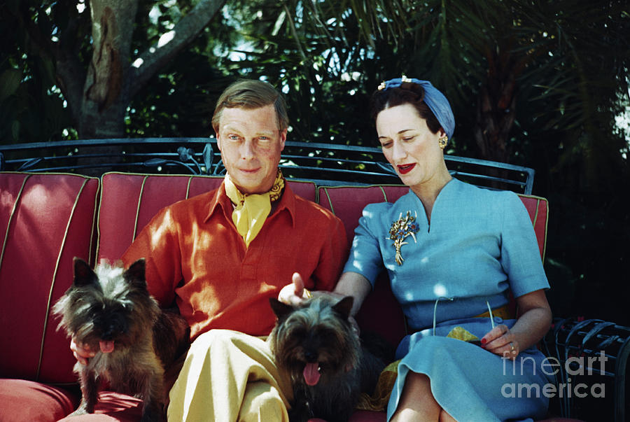 Duke And Duchess Of Windsor With Dogs Photograph by Bettmann
