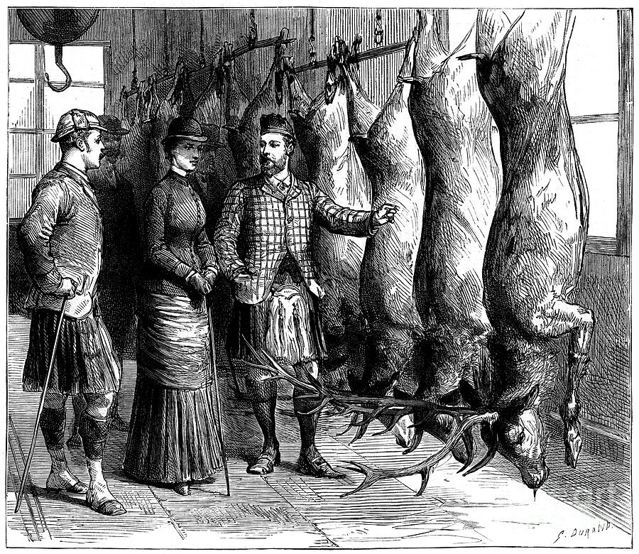 Duke Of Fifes Game Larder, 1881. Artist Drawing by Print Collector