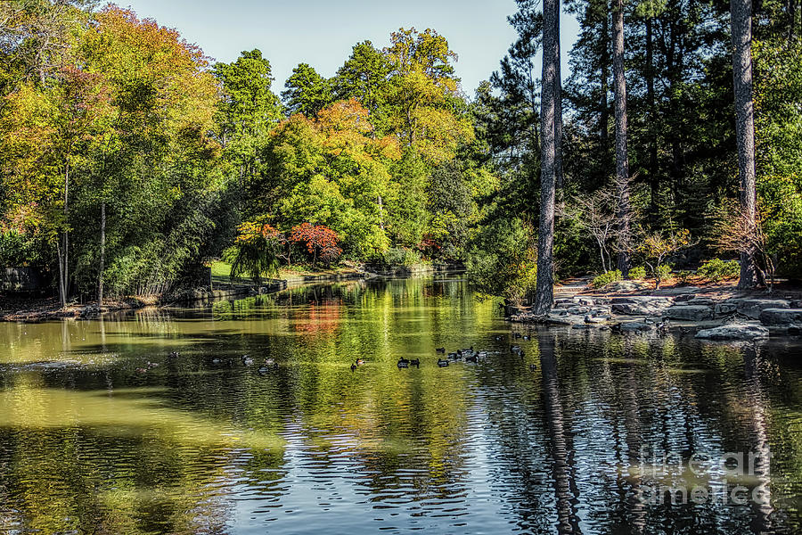 Duke Pond by James Foshee Duke Pond by James Foshee