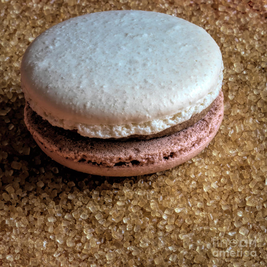 Dulce de Leche Macaron Photograph by Elisabeth Lucas