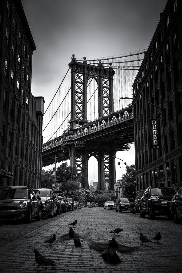 Brooklyn Bridge Photograph - Dumbo - Nyc by Catherine W.