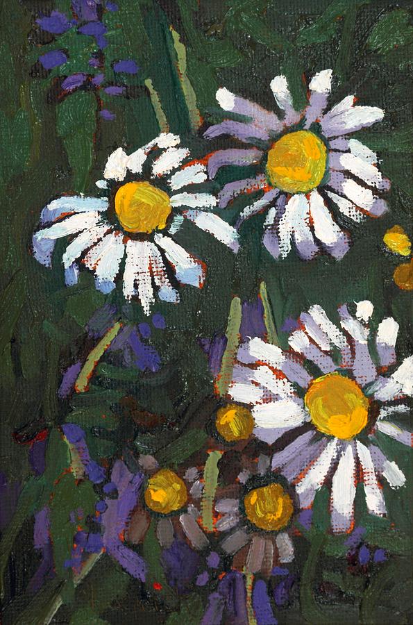 Dumoine Daisies Painting by Phil Chadwick
