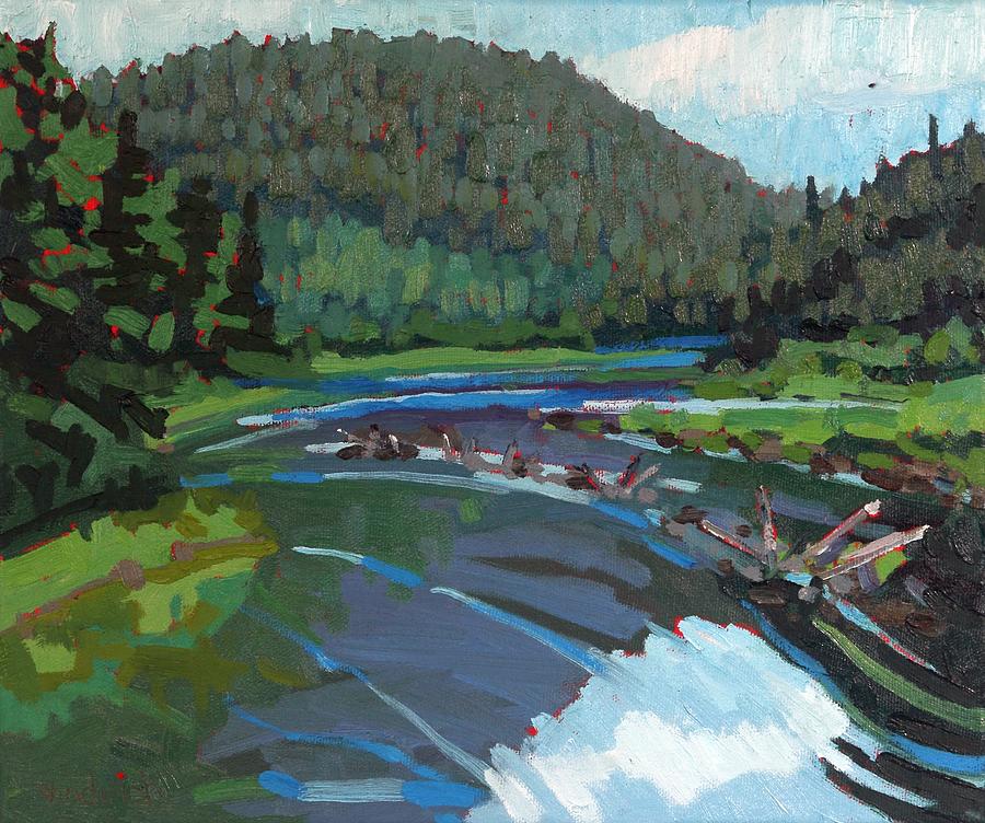 Dumoine Upstream from the Grande Chute Painting by Phil Chadwick