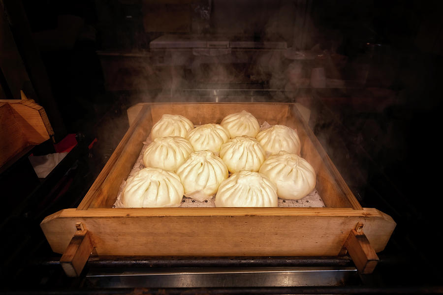 Dumplings 4 Photograph by Bill Chizek