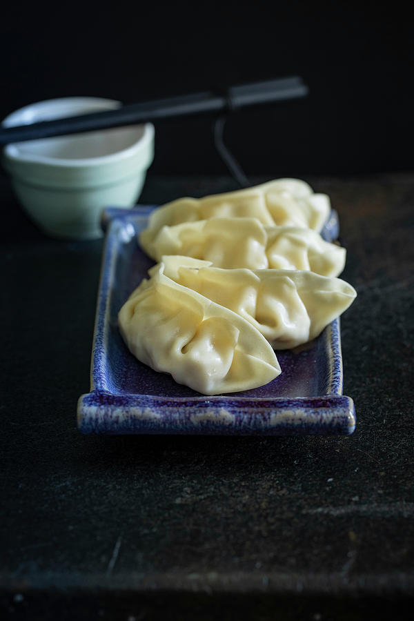 Dumplings asia Photograph by Eising Studio