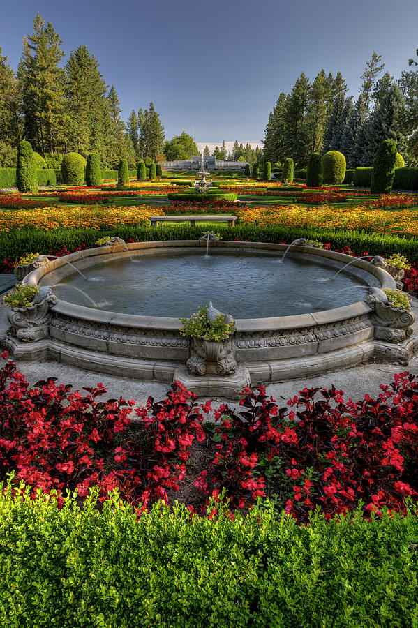 Duncan in Bloom by Mark Kiver Duncan in Bloom by Mark Kiver