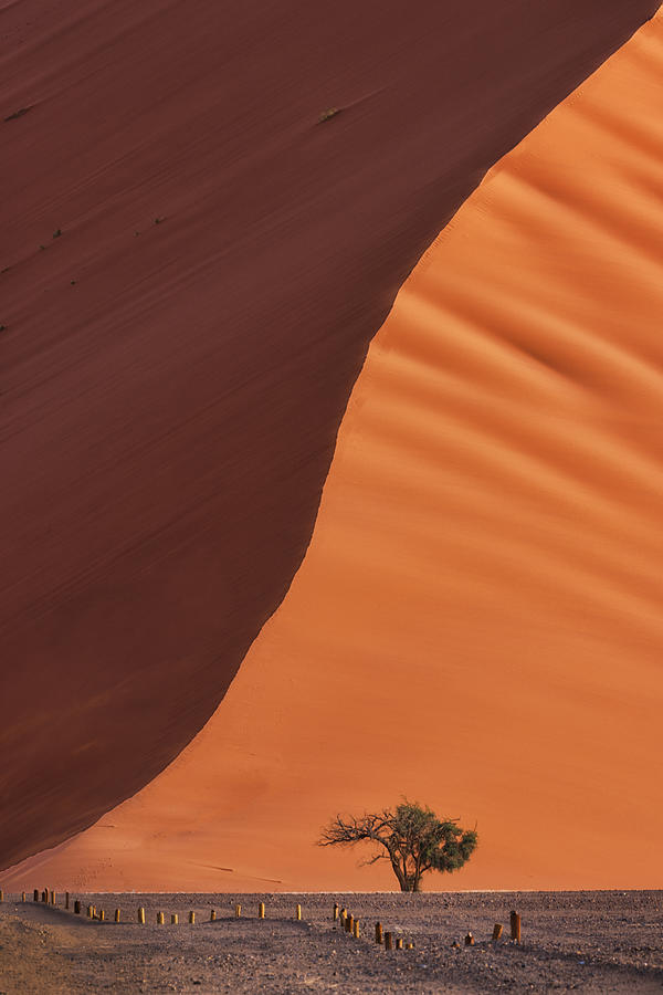 Dune 45 Photograph by Michael Zheng