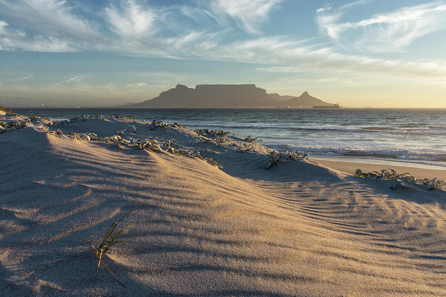 Dune And Table Mountain Photograph by Siegfried Layda