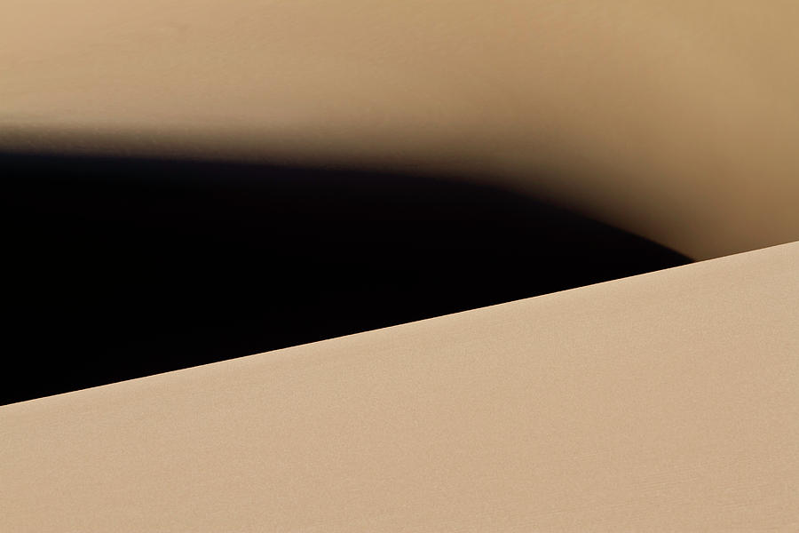 Dune Contrast Photograph by Robert Woodward