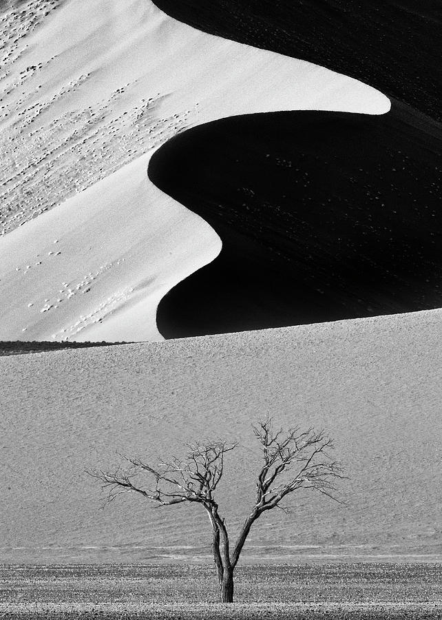 Namibia Photograph - Dune Curves by Ali Khataw