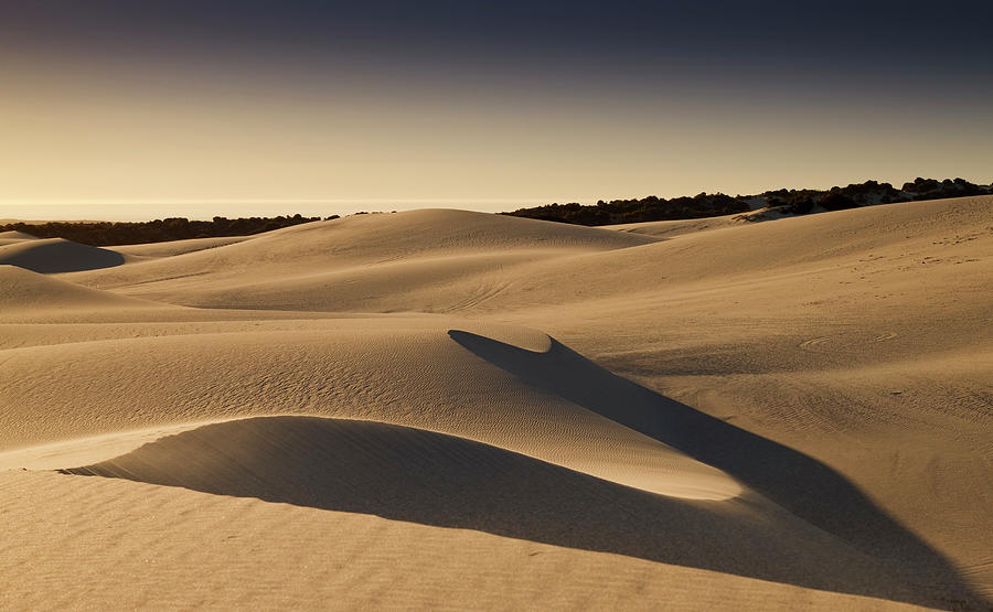 Dune Curves Photograph by Just John Photography