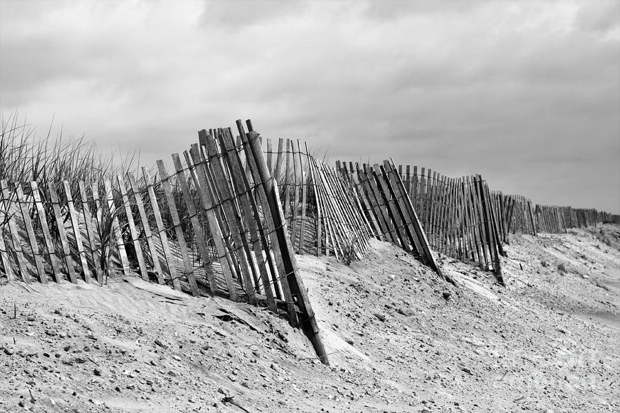 Dune Fence Photograph by Denise Pohl - Fine Art America